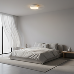 Lámpara Ventilador de Techo LED